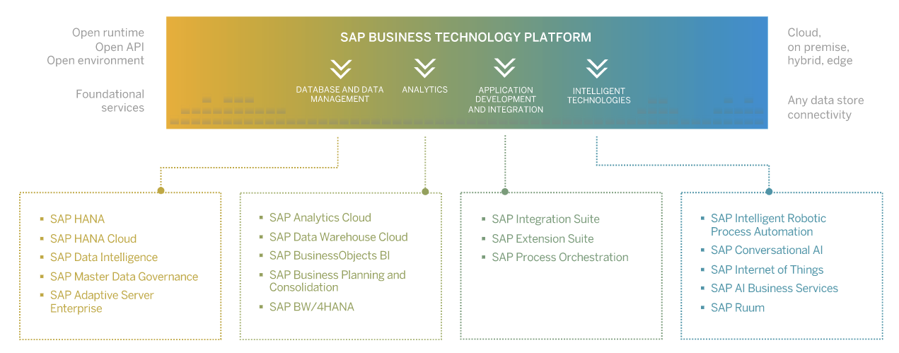 KRIS MOTURI: SAP RISE - Business Transformation as a Service