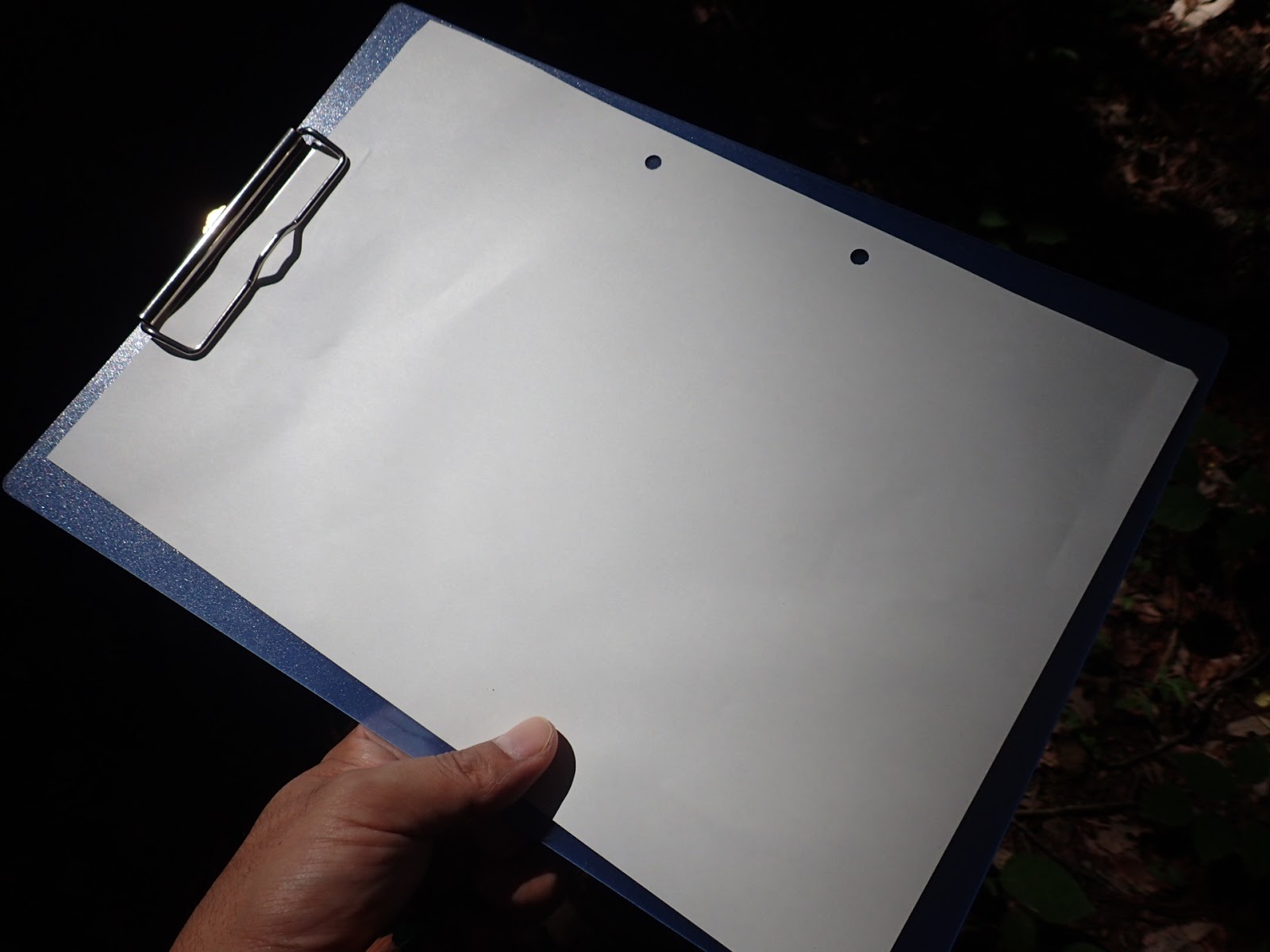 東京都立奥多摩湖畔公園 山のふるさと村 「こもれびキャッチ」