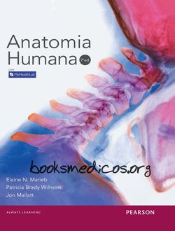 Anatomia Humana Marieb 7ª Edicao Booksmedicos