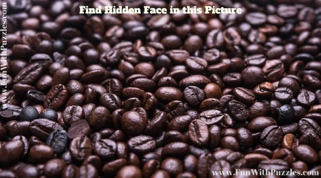 Hidden Face Picture Brain Teaser: Hidden Faces Picture Puzzles