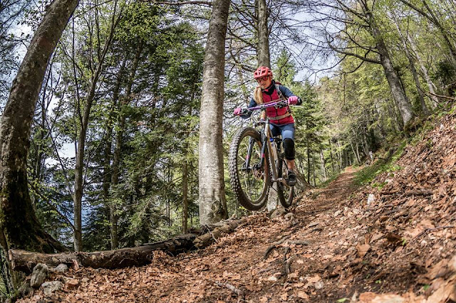 MTB - Trento Monte Marzola - Trentino - Trient