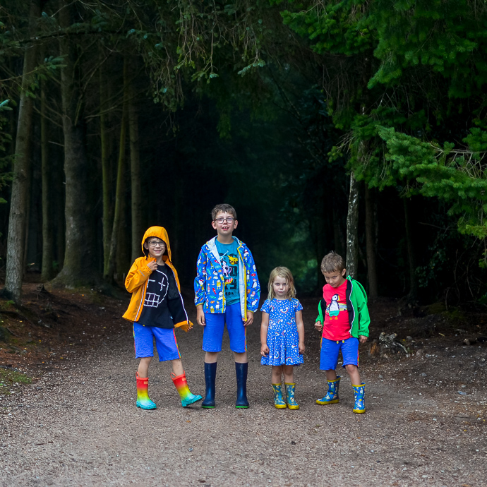 Haldon Forest, Exploring Devon, Forestry England