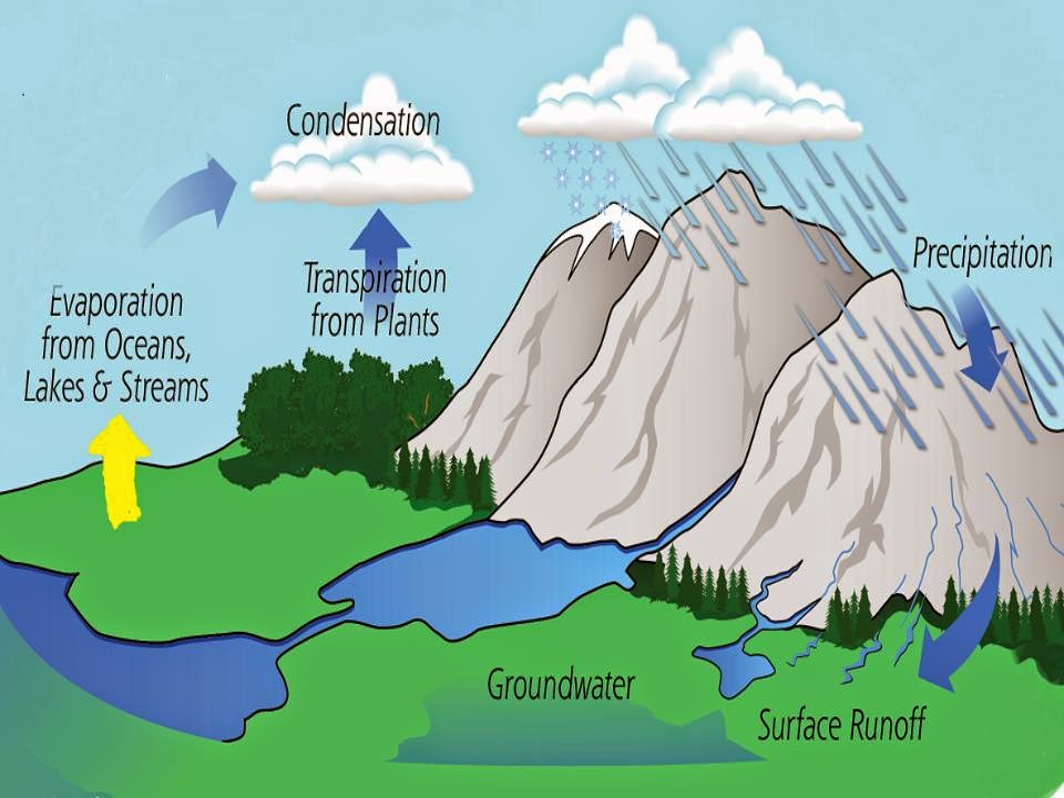 Mrs Smallwood's Science classes: The Water Cycle Posters