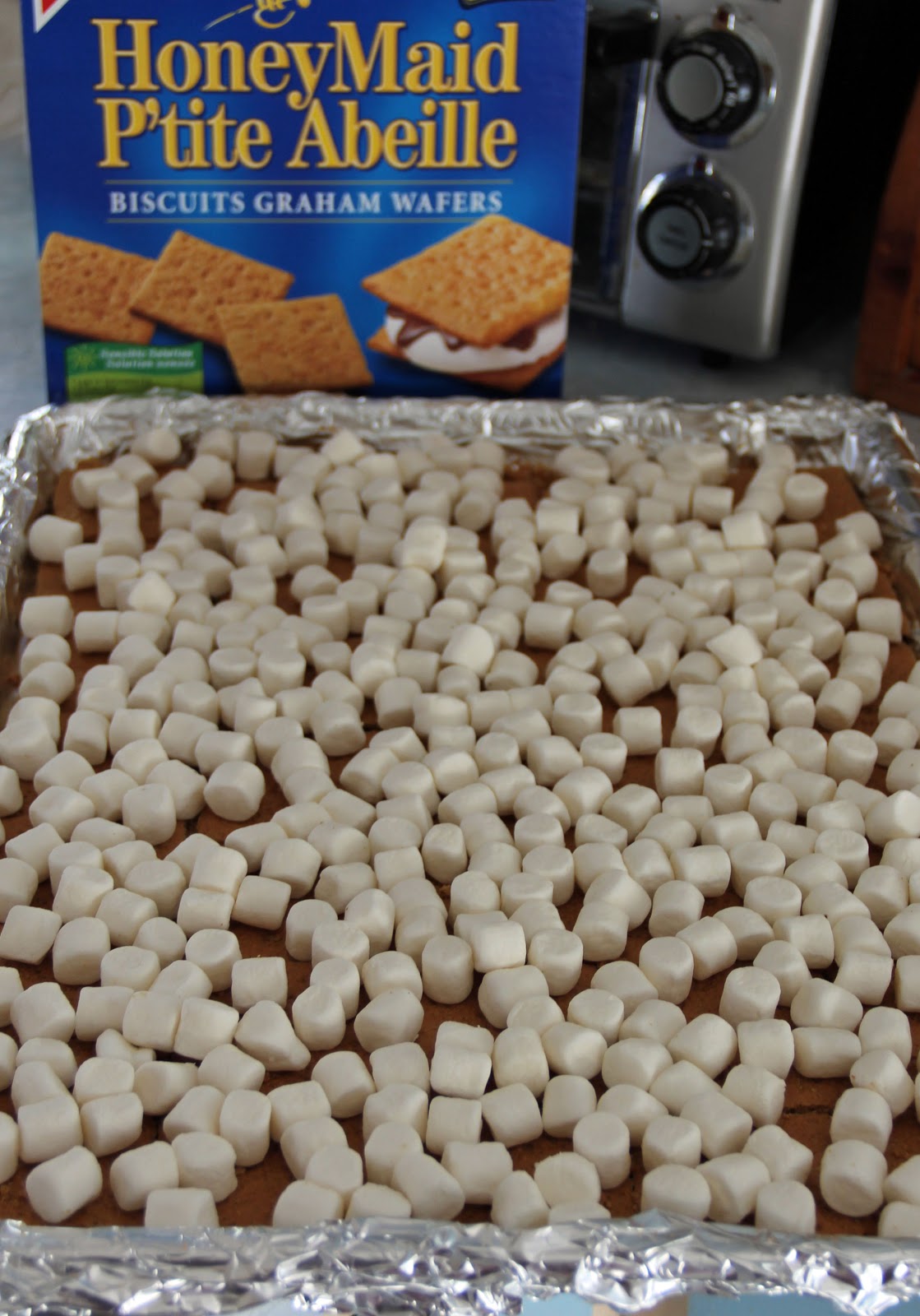 Jo and Sue Caramel Graham Squares