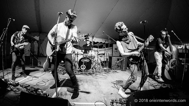 Birds of Bellwoods at Hillside 2018 on July 15, 2018 Photo by John Ordean at One In Ten Words oneintenwords.com toronto indie alternative live music blog concert photography pictures photos