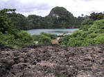 menatap pulau ini