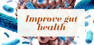 Improve Gut Health