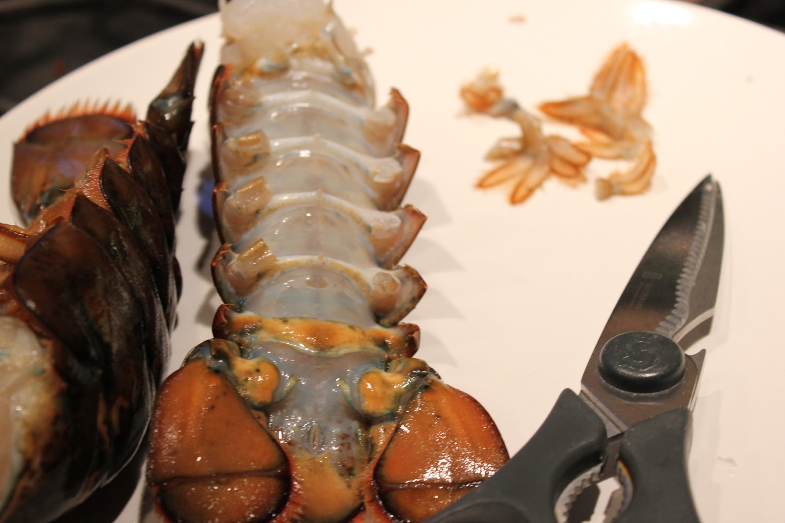 Lobster Jointed Legs at Kimberly Clifton blog