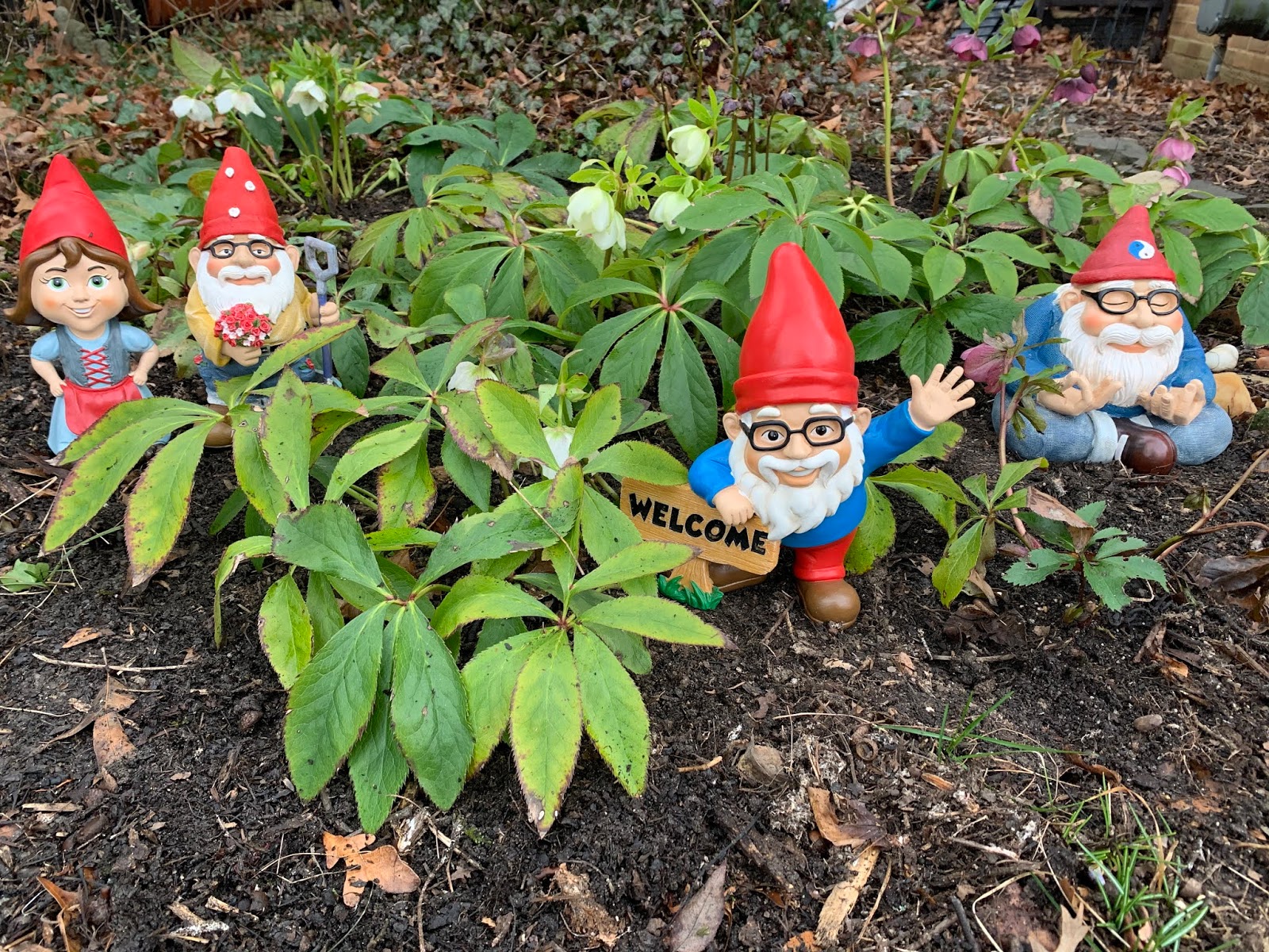 WashingtonGardener Win a Garden Gnome in the March 2020 Washington