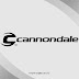 Download Cannondale Vector Logo