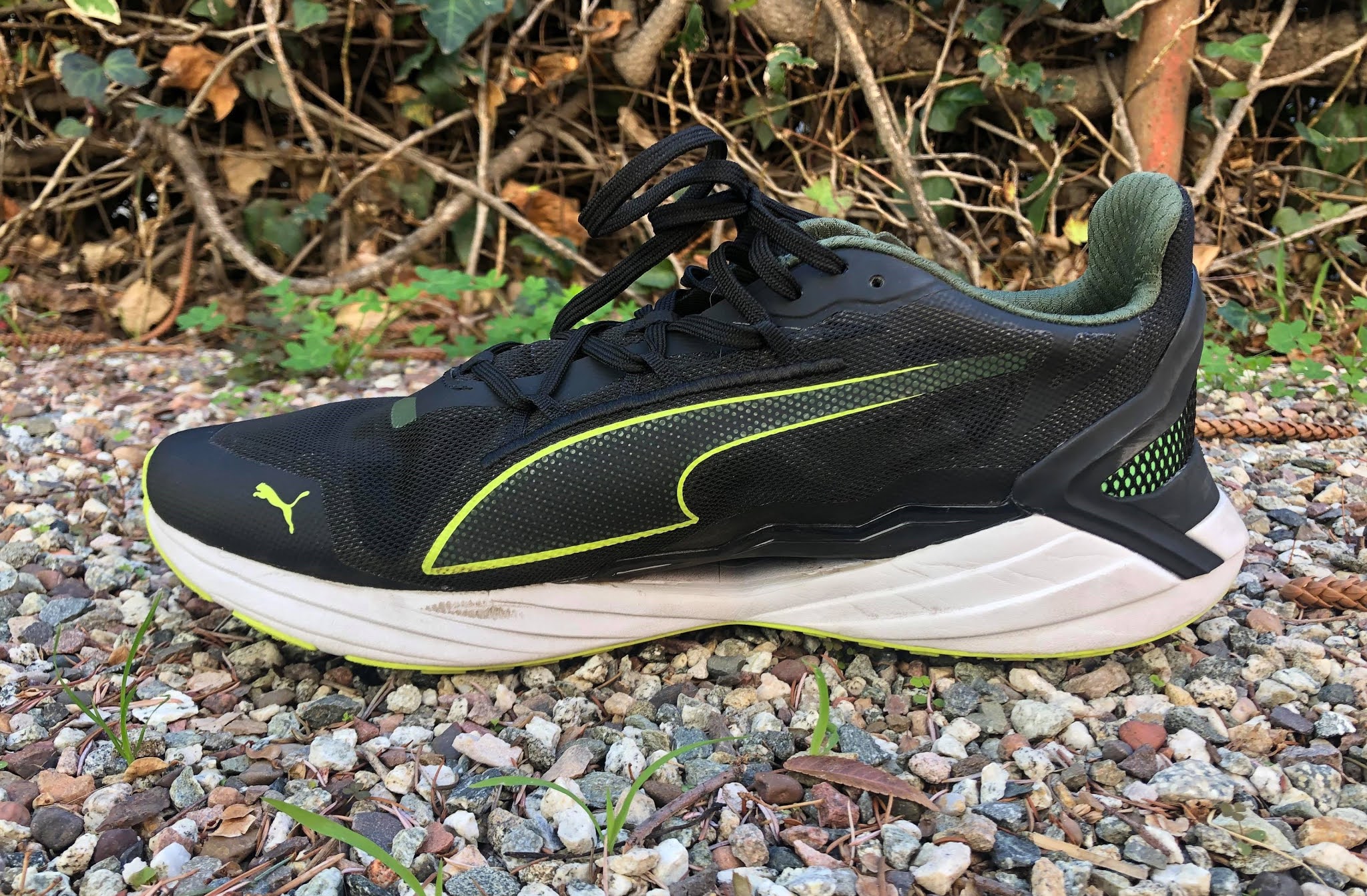 Puma UltraRide Review DOCTORS OF RUNNING