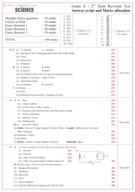 Its SciTime: Grade 8 - 2nd Term Revision Paper - Answers