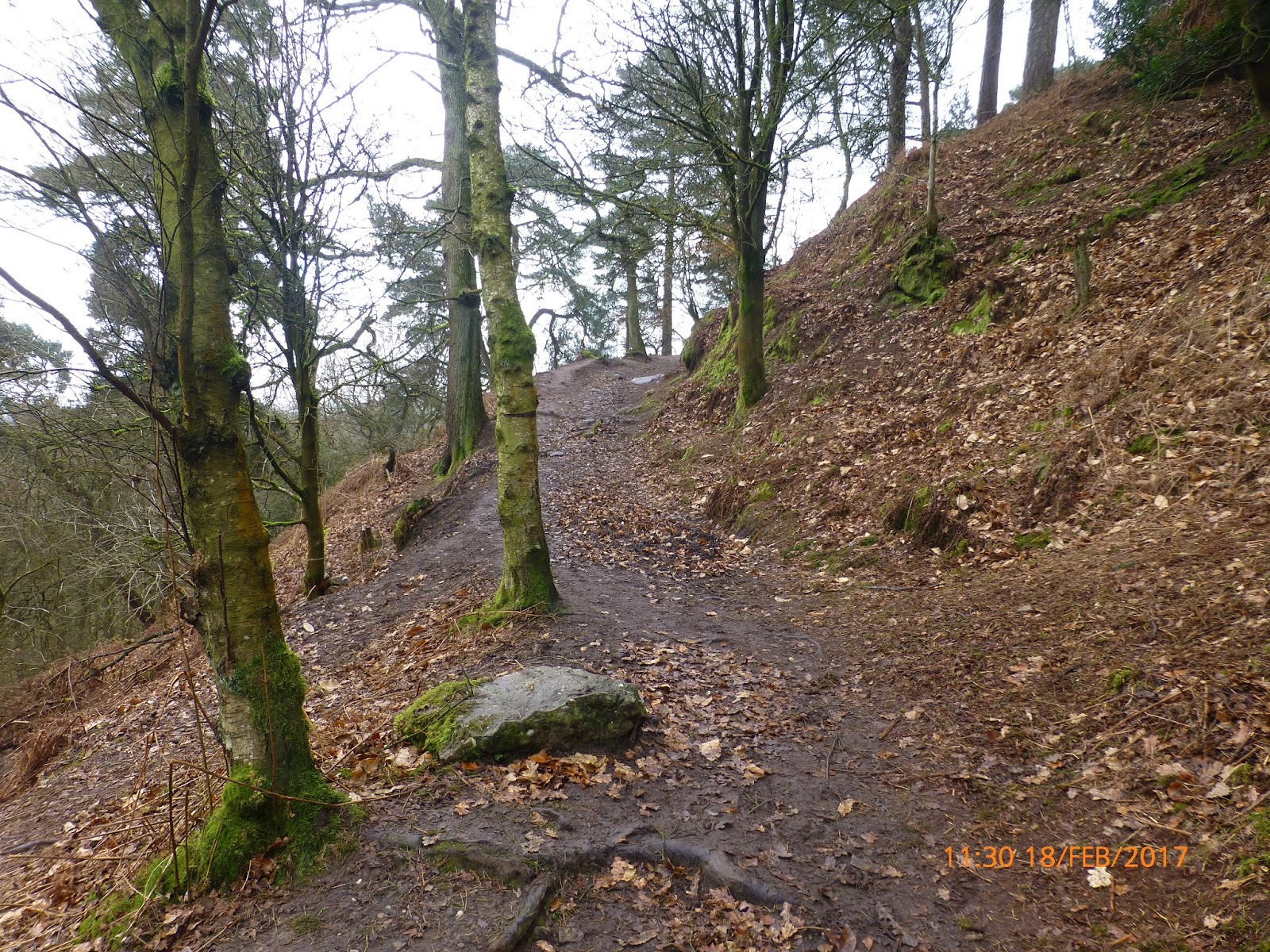 Harris Hikers Alderley Edge, Hough and Nether Alderley 18th February 2017