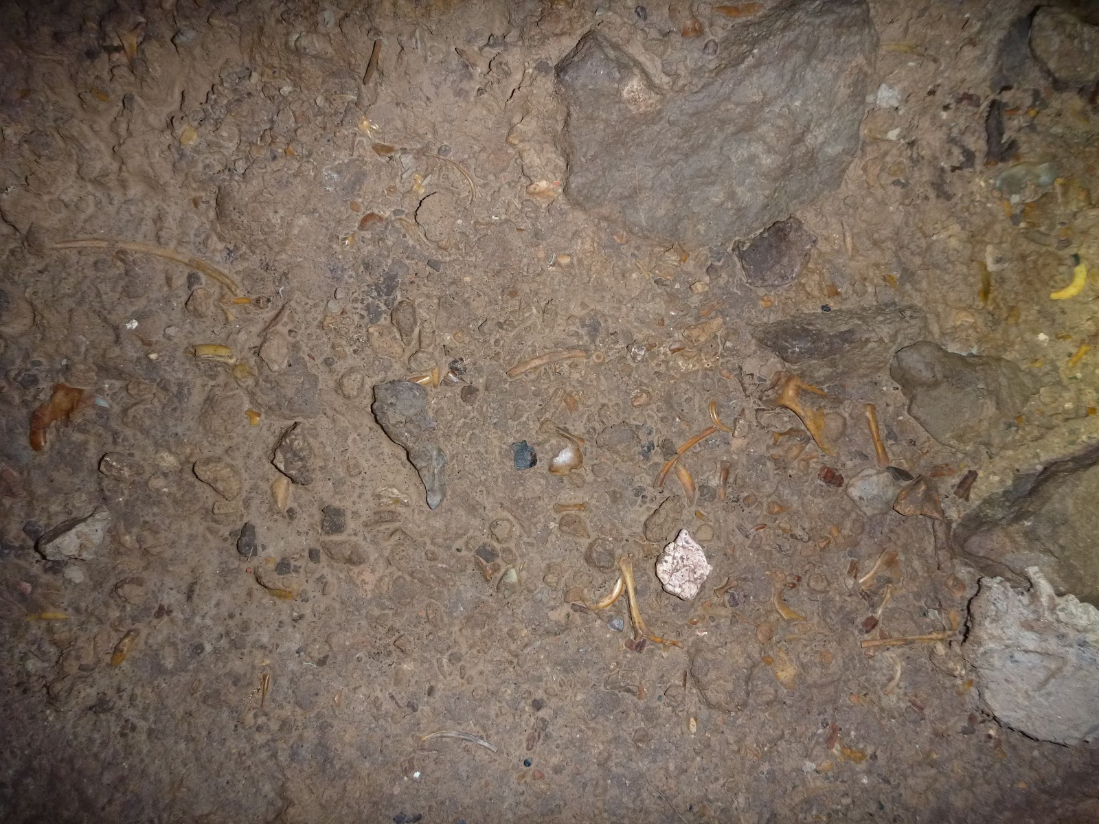 Utah Caves: Muddy Bones Fissure