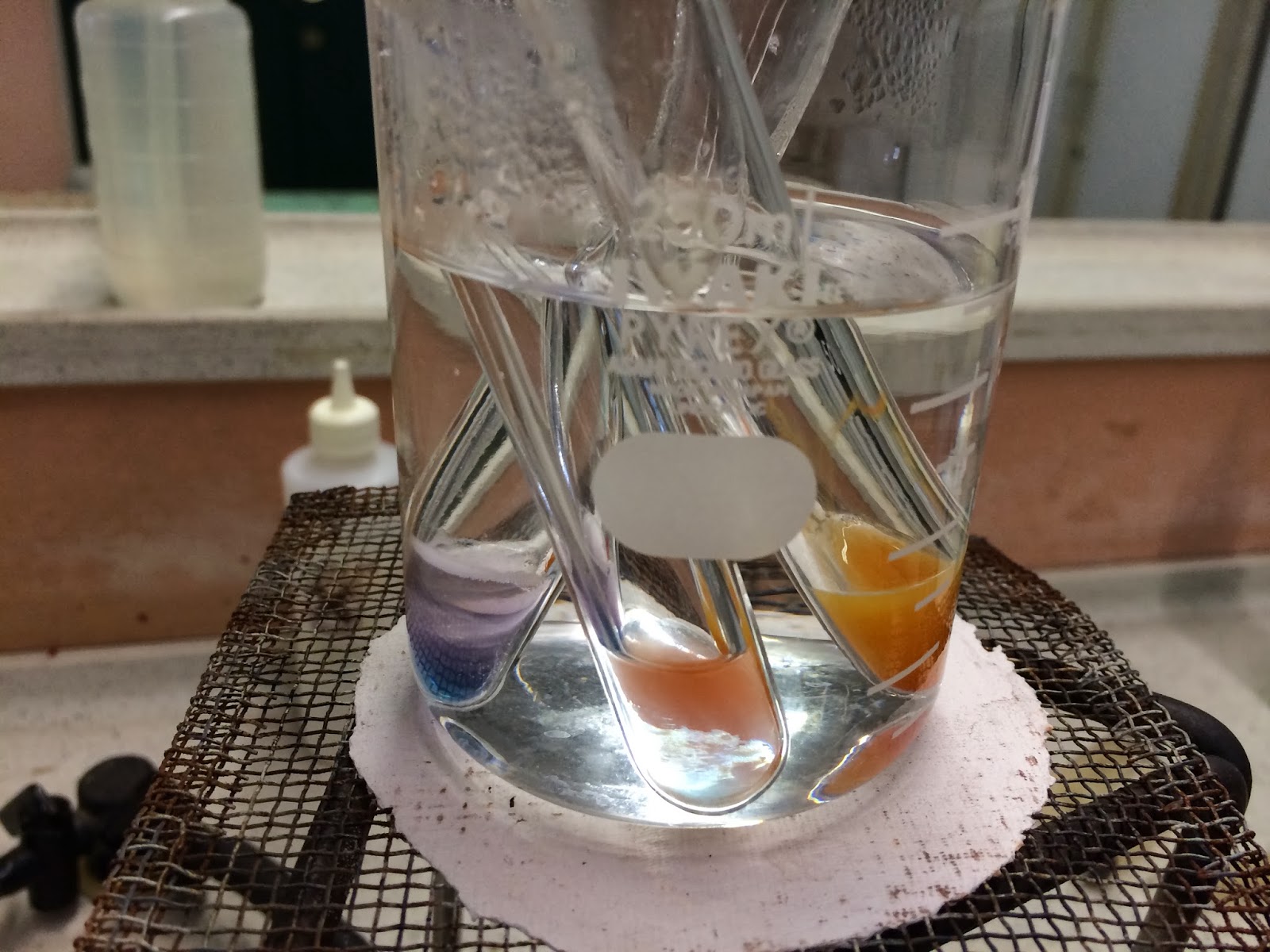 Biology Journal Biomolecules Practical 1 Food test