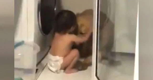 Mira a este tierno bebé consolando a un perrito asustado durante una tormenta
