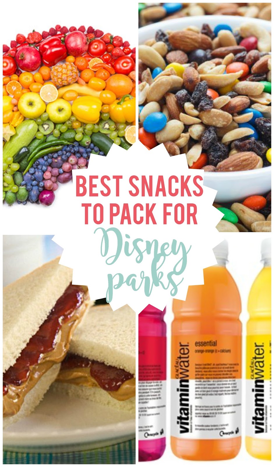 Best Snacks to Pack for Disney Parks | Sunshine and Munchkins