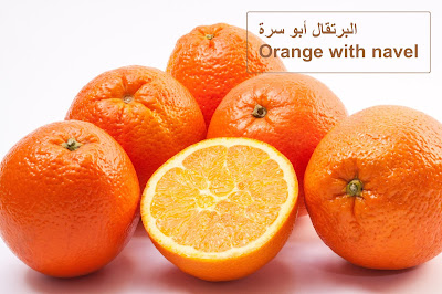 أنواع البرتقال