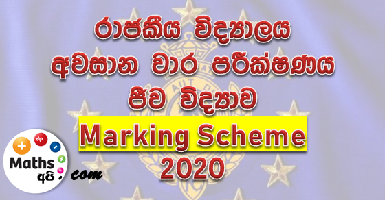 Royal college term test papers 2020 marking scheme grade 11 image