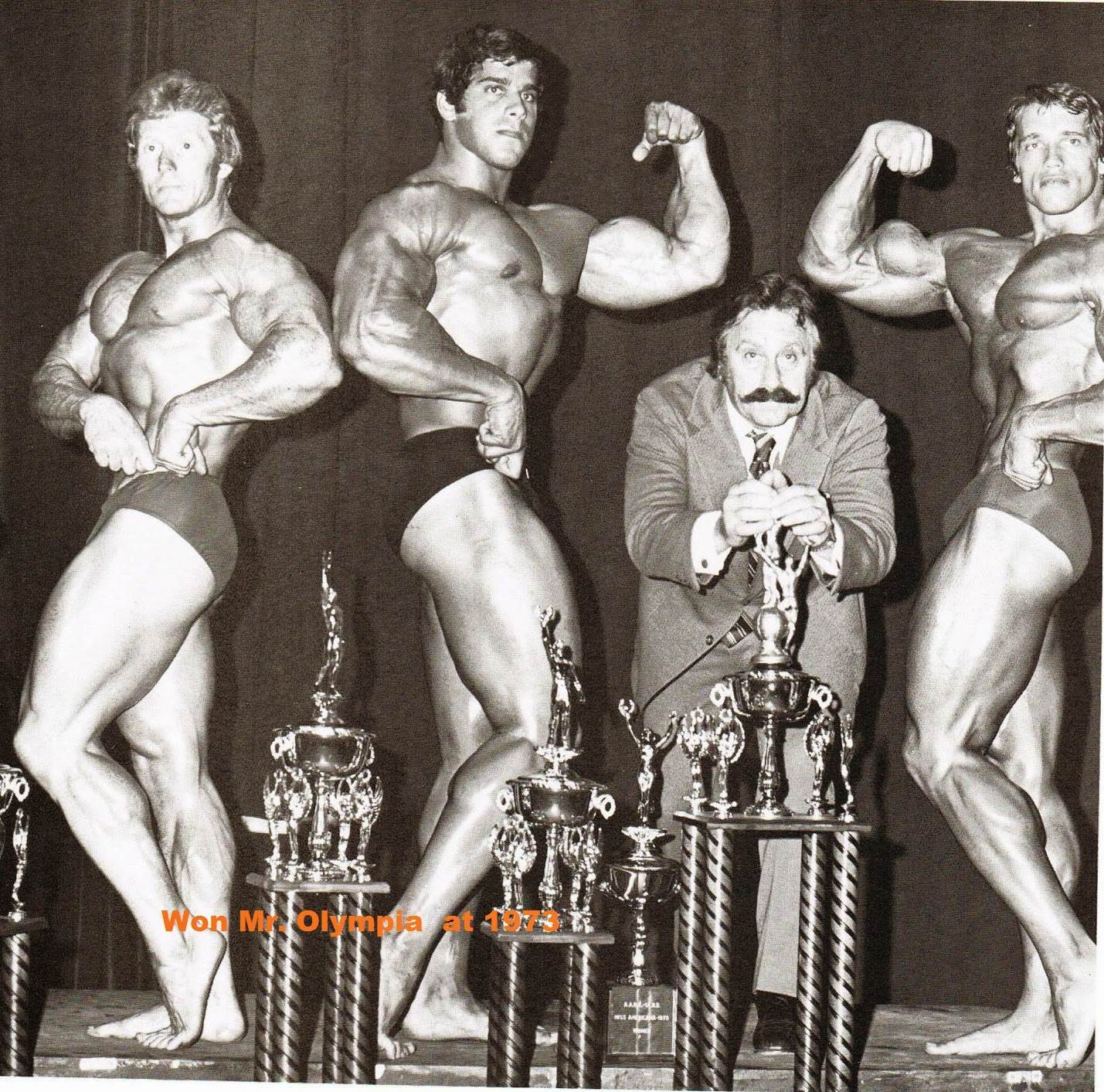 Arnold Schwarzenegger's Best Shows in Mr. Olympia and Mr Universe