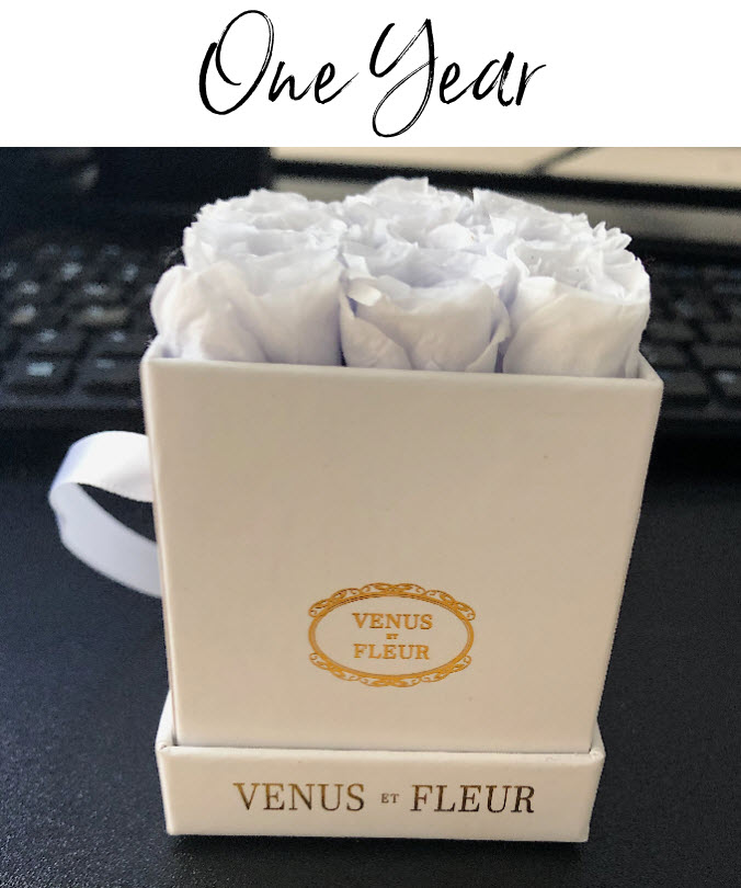 Venus et Fleur Two Year Review Shenandoah Sugar