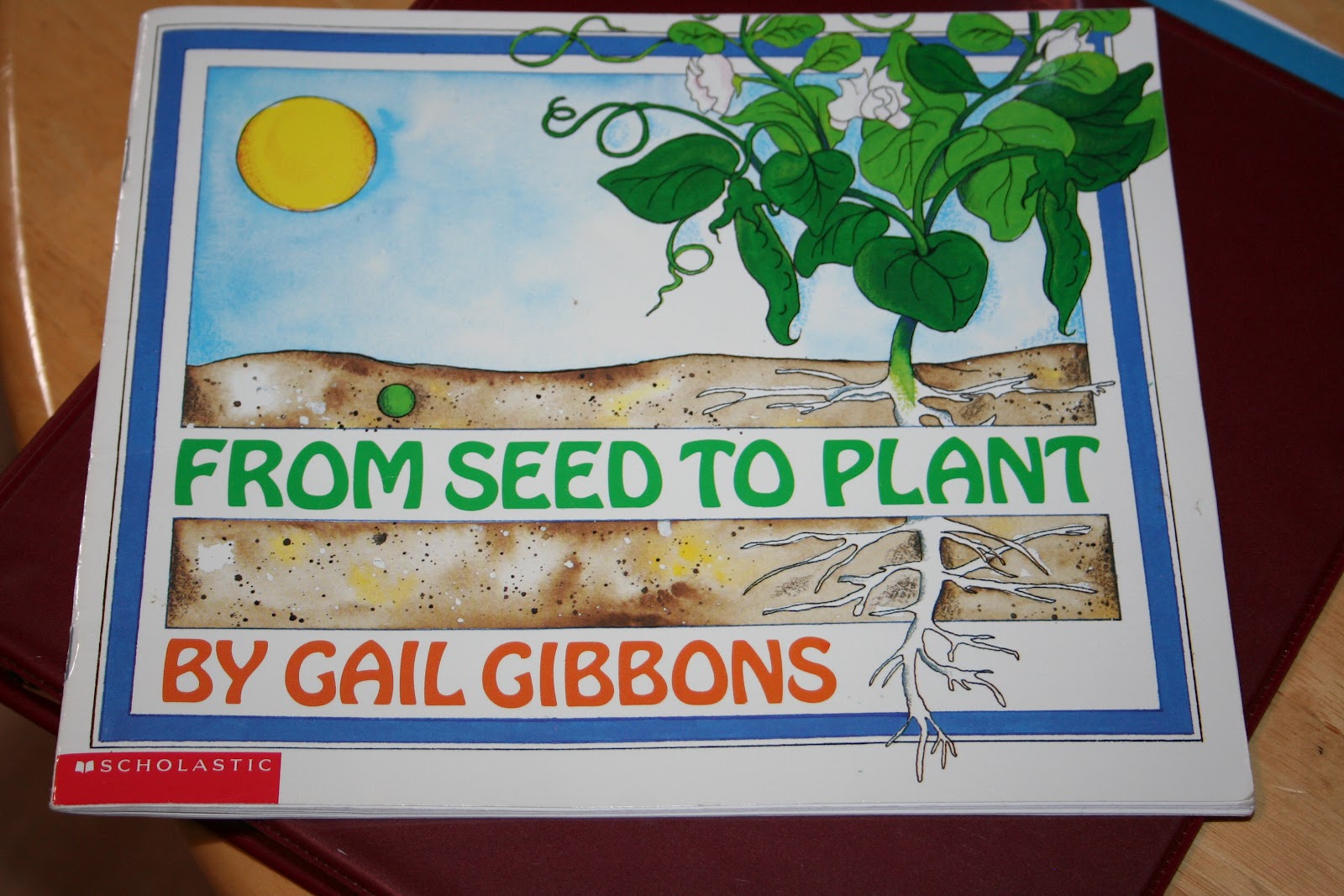 Our Country Road Montessori Science Parts of a Seed Unit