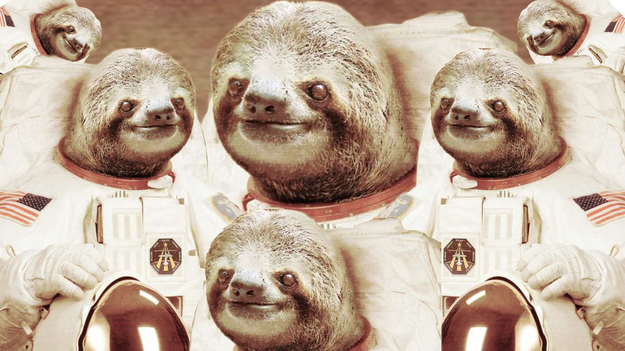 Sloth Wallpapers Sloth Wallpapers