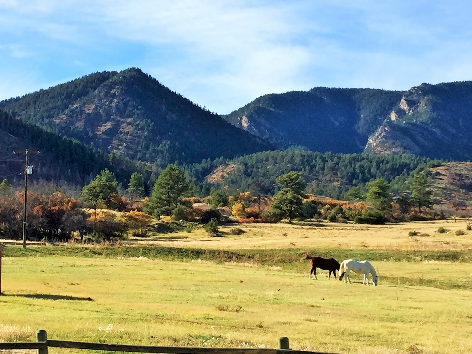 Down the Road Exploring Castle Rye, Colorado