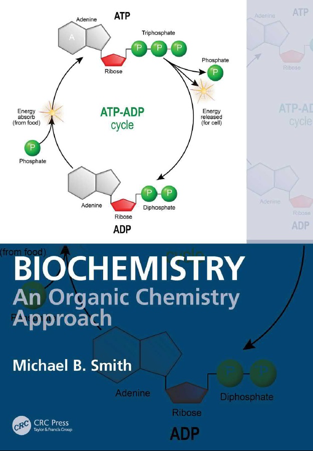 Biochemistry An organic Chemistry Approach