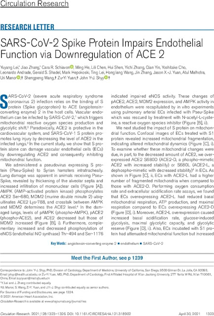 01 -SARS-CoV-2 Spike Protein Impairs Endothelial Function via Downregulation of ACE 2 Screenshot