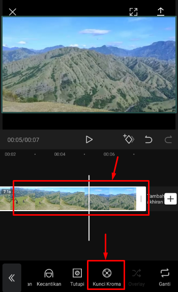 Penghapus latar belakang video