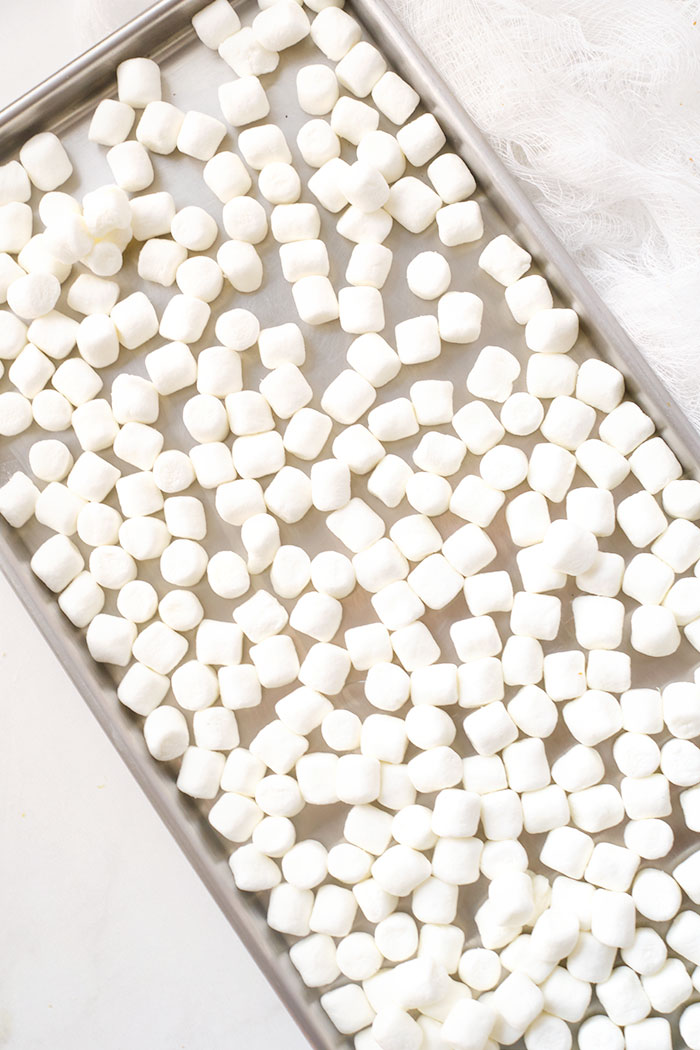How to Make Dried Marshmallows (Oven, Dehydrator, Air Fryer, Freeze Dry