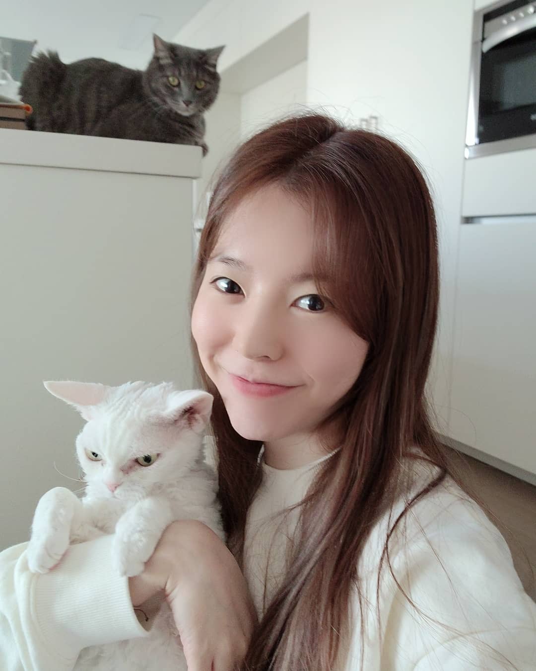 See Sunny's cute updates with her cats - Wonderful Generation