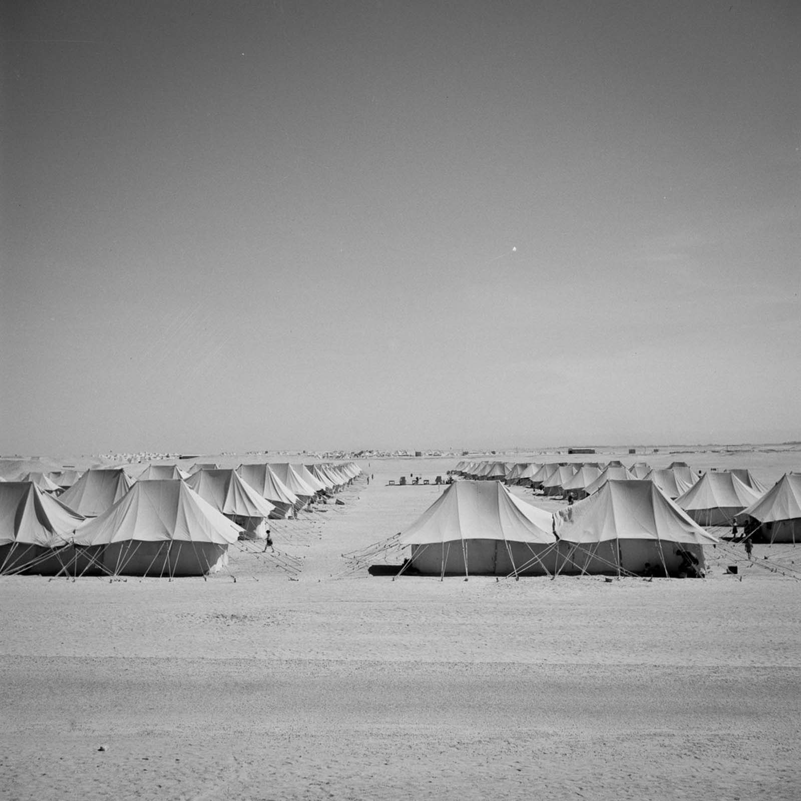 Rare photographs  When European refugees fled to Egypt  1944 - 41