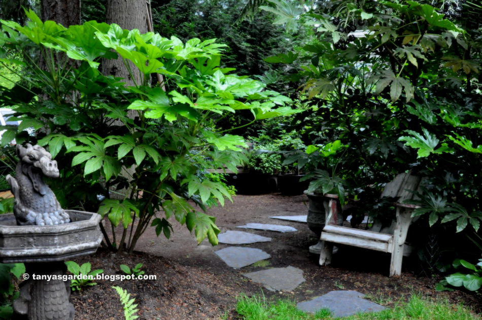 MySecretGarden: June 2014