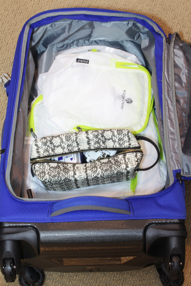 How to Store Luggage and Organize Travel Gear At Home Blue i Style