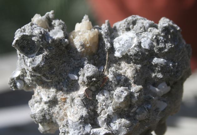 The Treasure Beaches Report Direct From Florida's Treasure Coast.: 6/24 ...