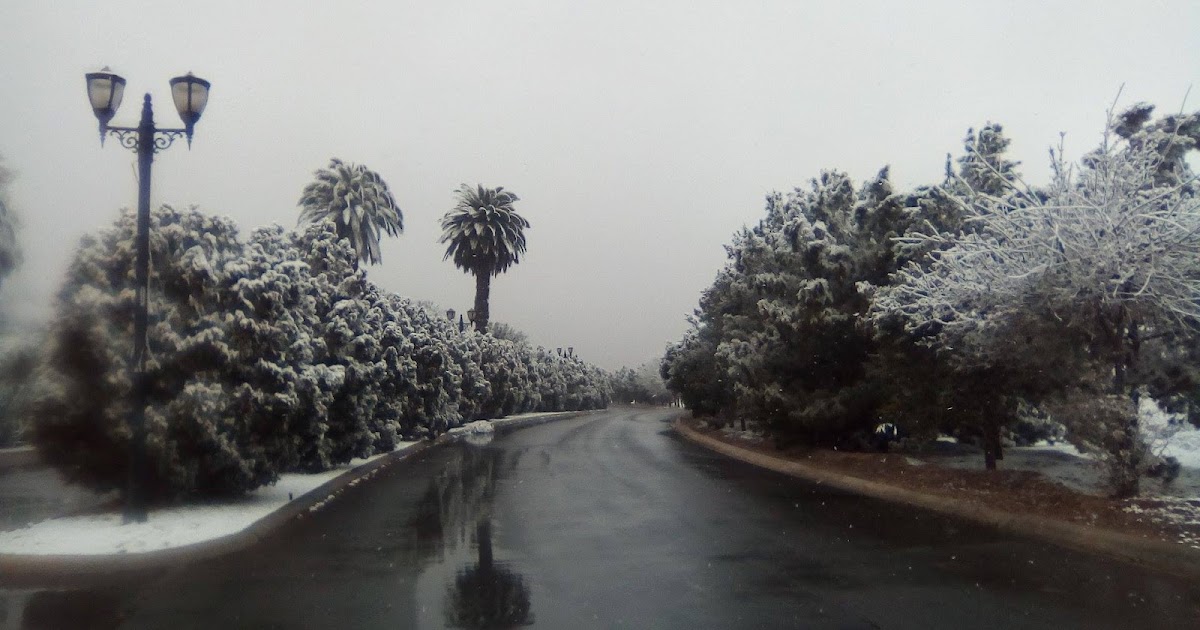 Conoce Saltillo El Clima de Saltillo