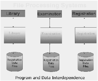 Databases and Traditional File Processing Systems - MPTutorials