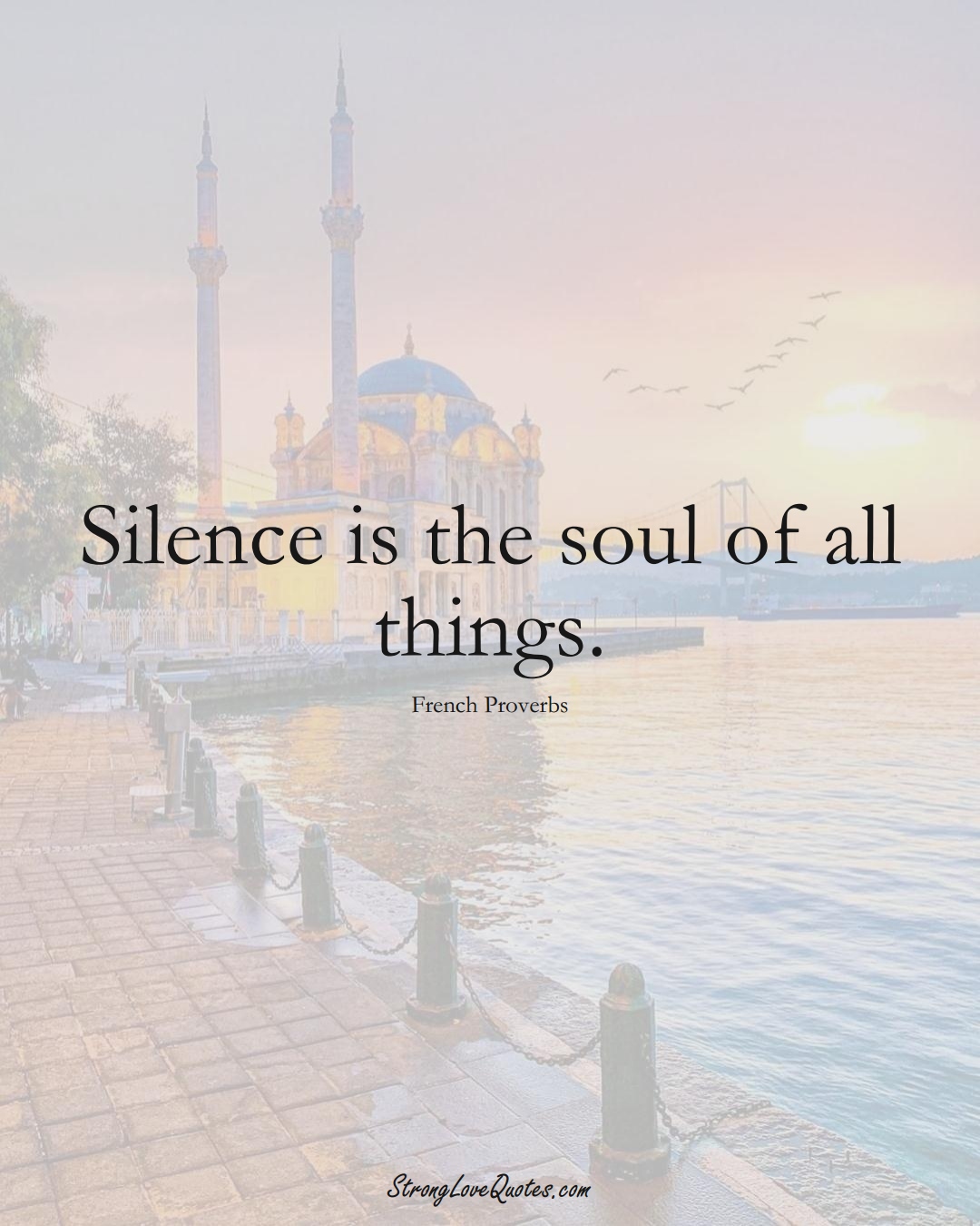 Silence is the soul of all things. (French Sayings);  #EuropeanSayings