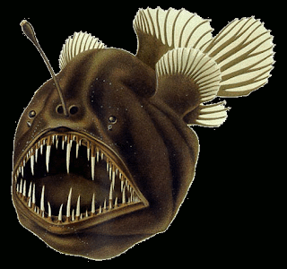 Angler fish (public domain illustration)