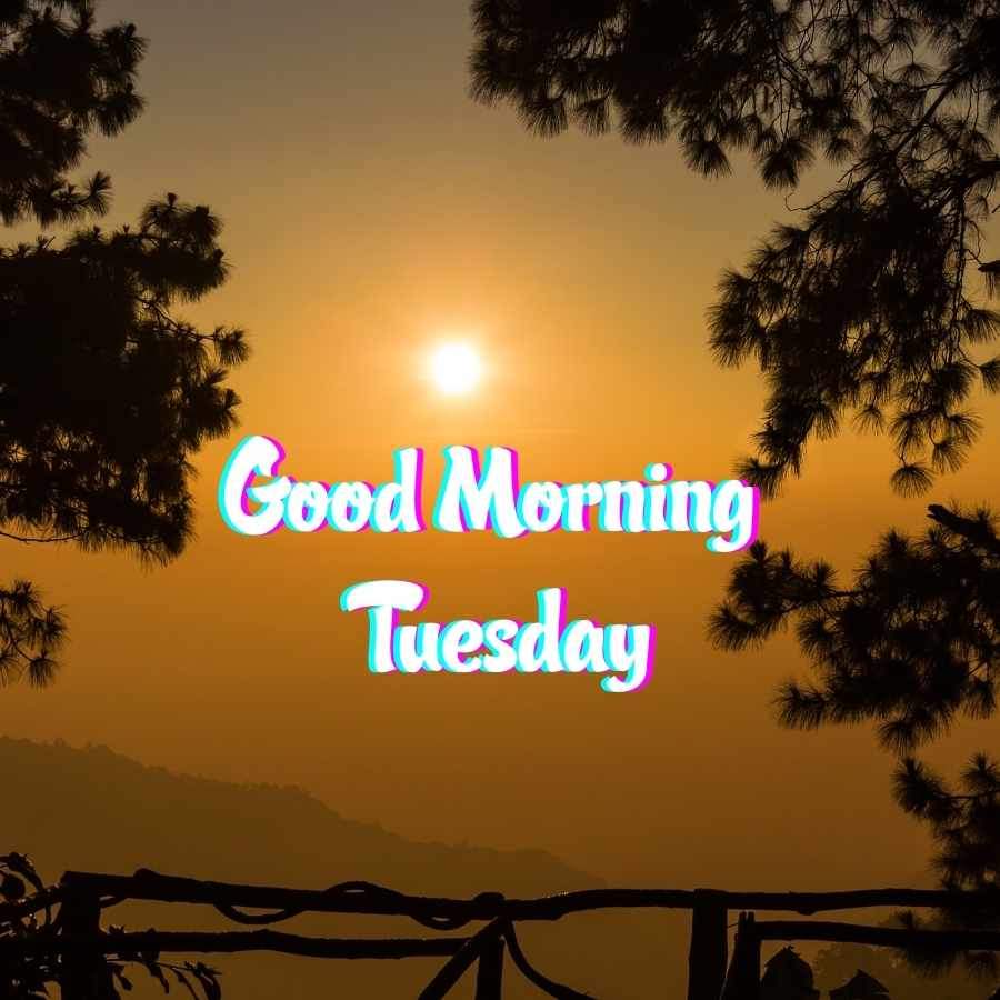 good morning tuesday images hd