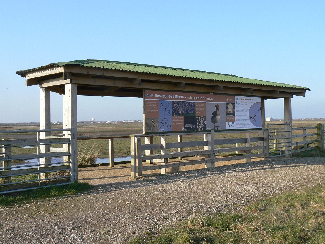 A Field Notebook Hesketh Out Marsh close up