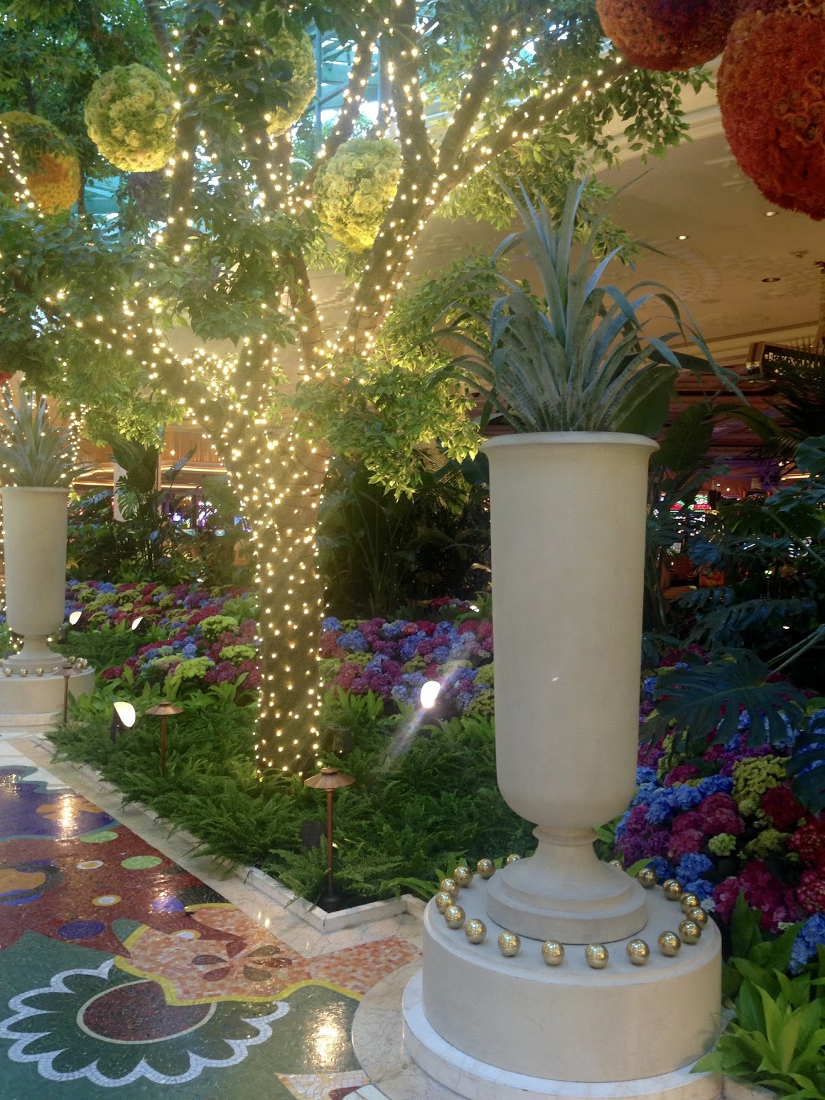 Amy's Creative Pursuits: The Flowers and Gardens of Las Vegas