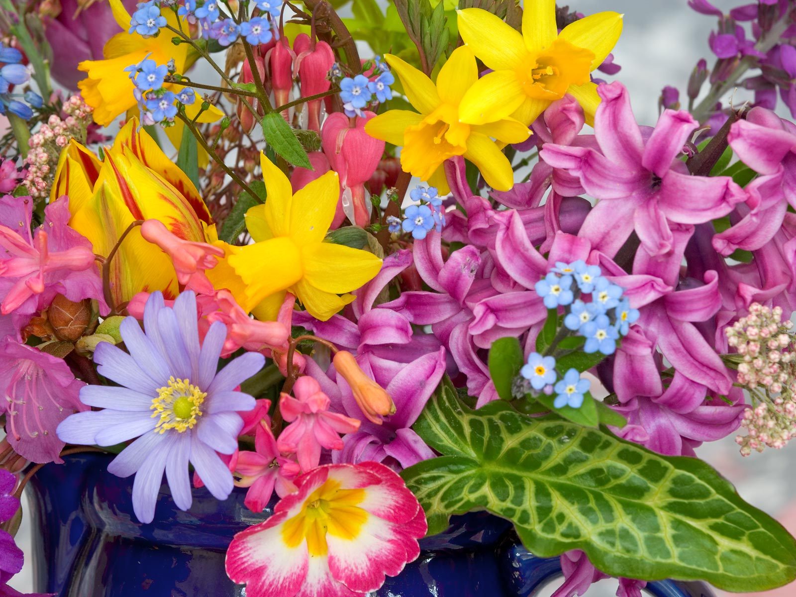 Spring Flowers