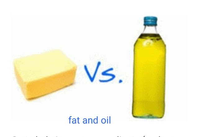 Difference Between Fat and Oil | Fat | Oil