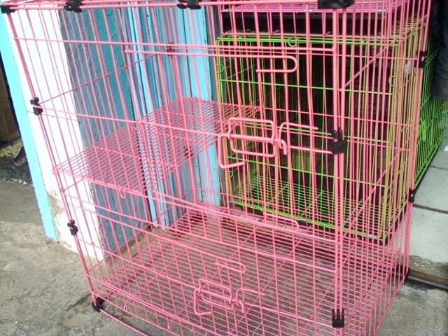 Kandang Kucing Warna Hijau Majalah Cat Dog