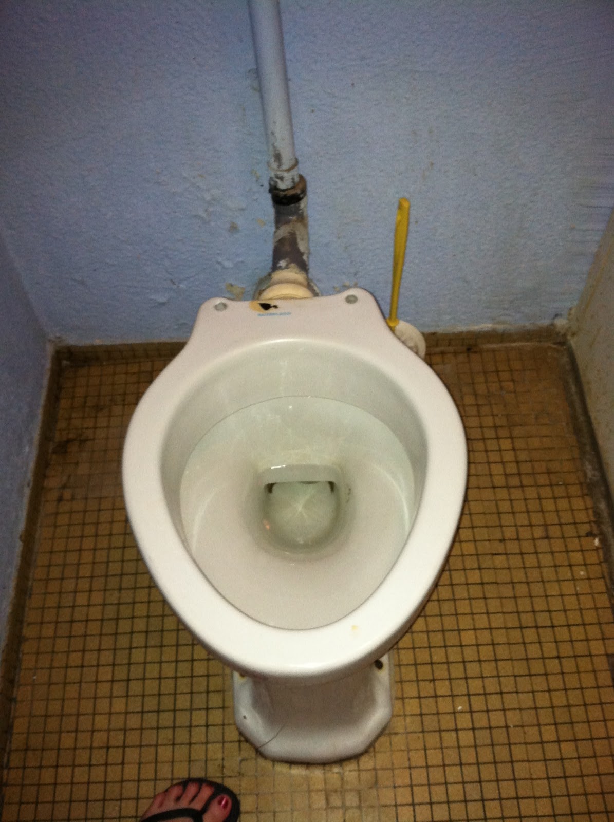 C'est la vie in case you wanted to see a french toilet