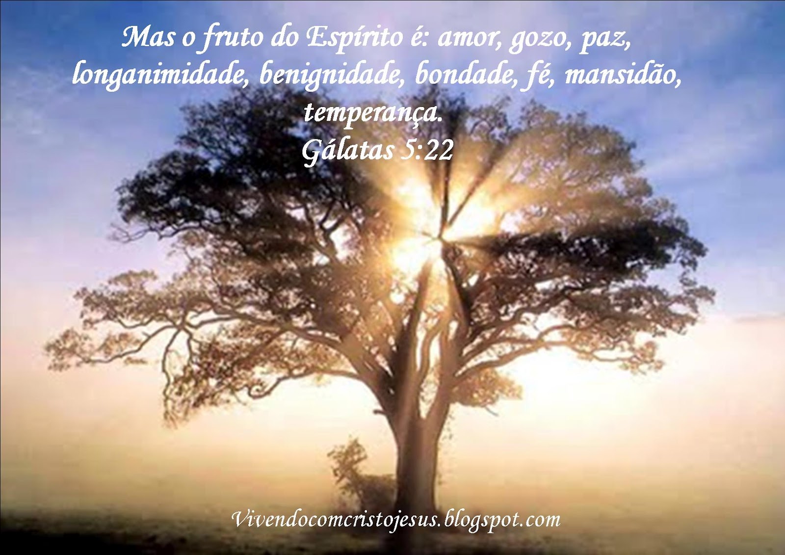 Vivendo Com Cristo Fruto Do Esp rito