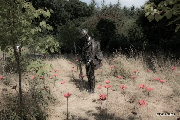 Remembrace. "The Unknown Soldier" in a field of poppies. Photo copyright Pat Adams